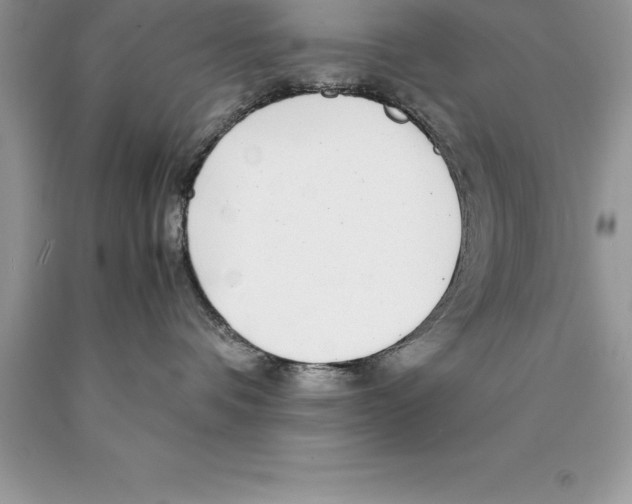 X0000089970336200707271926