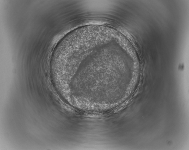 X0000089970337200707271926