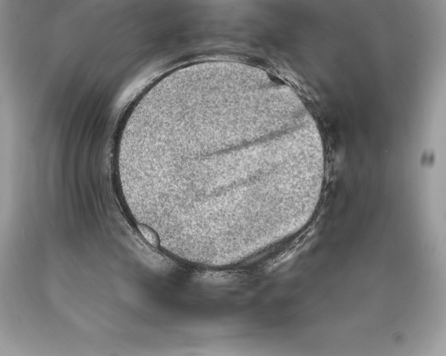 X0000089970341200707271926