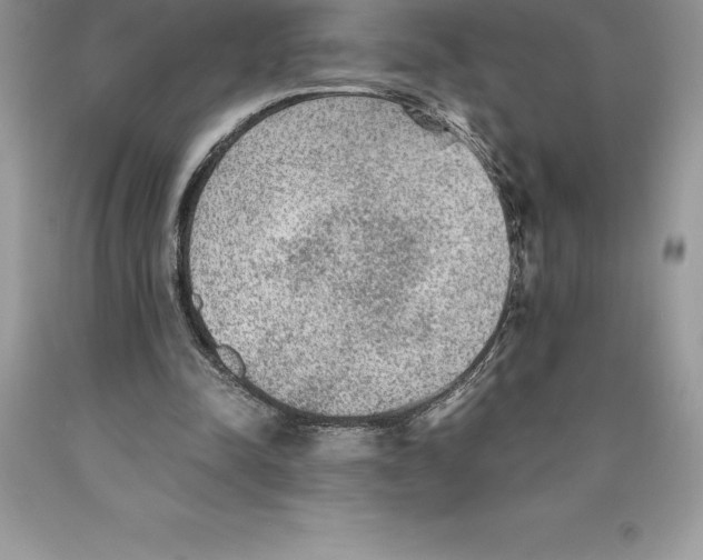 X0000089970342200707271926