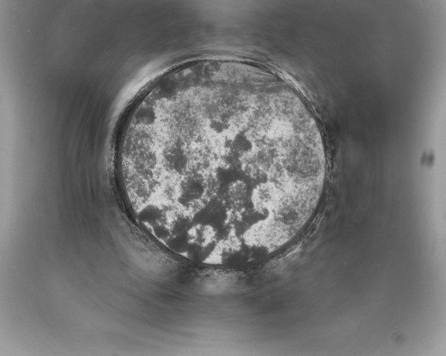 X0000089970343200707271926