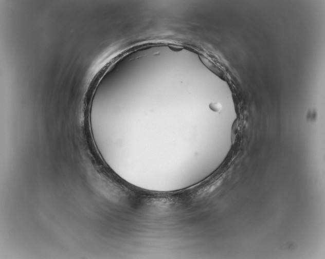 X0000089970344200707271926