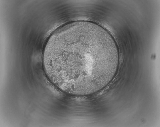 X0000089970345200707271926