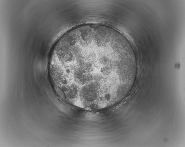 X0000089970346200707271926