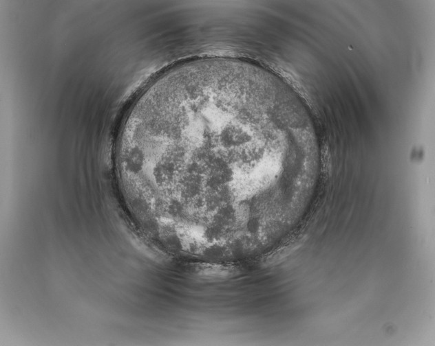 X0000089970347200707271926