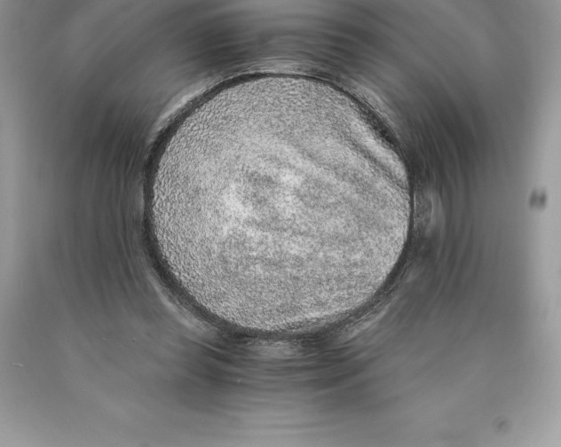 X0000089970349200707271926