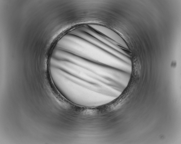 X0000089970350200707271926