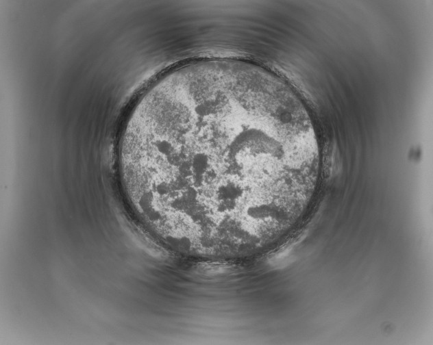 X0000089970351200707271926