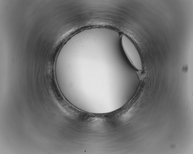 X0000089970352200707271926