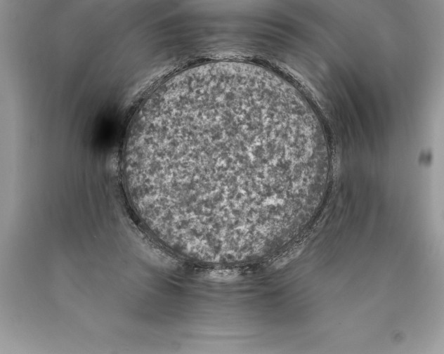 X0000089970353200707271926