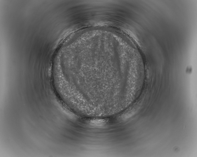 X0000089970357200707271926