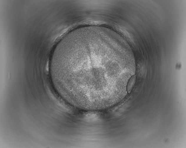 X0000089970358200707271926