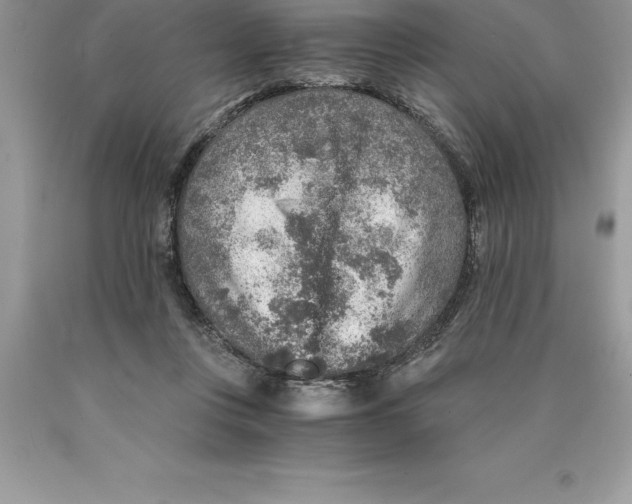 X0000089970359200707271926