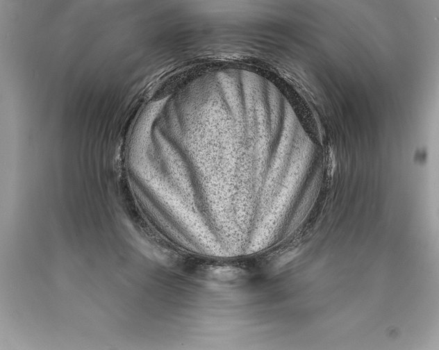 X0000089970360200707271926