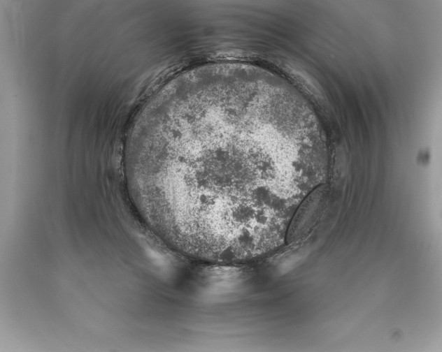 X0000089970361200707271926