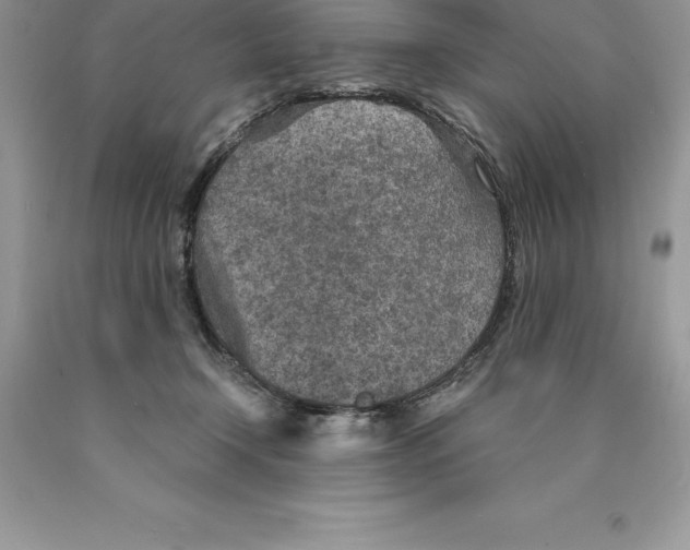 X0000089970366200707271926