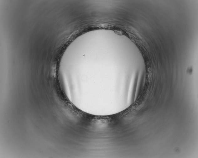 X0000089970368200707271926