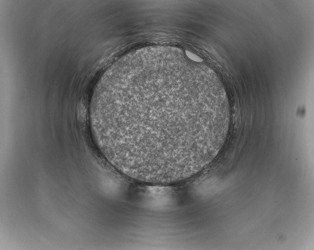 X0000089970371200707271926