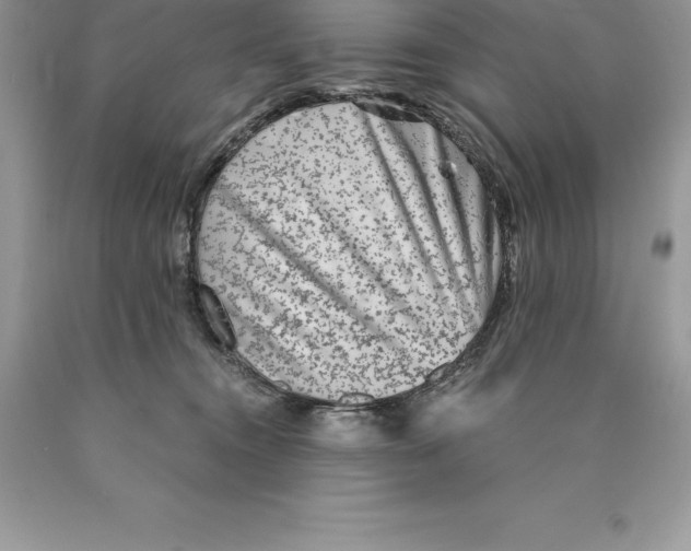 X0000089970372200707271926