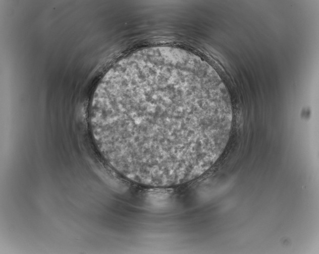 X0000089970373200707271926