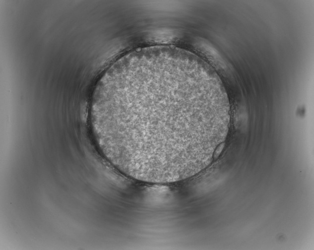 X0000089970374200707271926