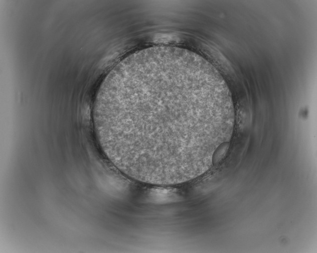 X0000089970375200707271926