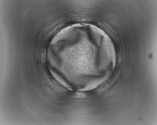 X0000089970376200707271926