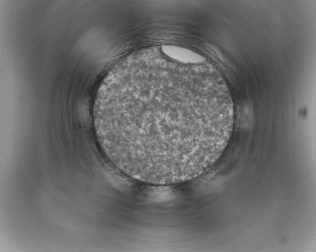 X0000089970377200707271926