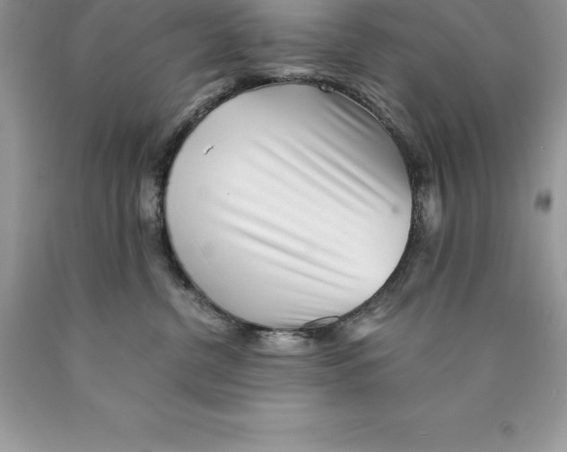 X0000089970380200707271926