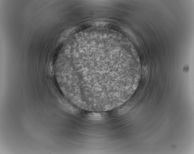 X0000089970381200707271926