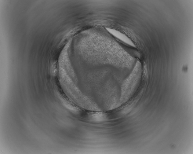 X0000089970383200707271926