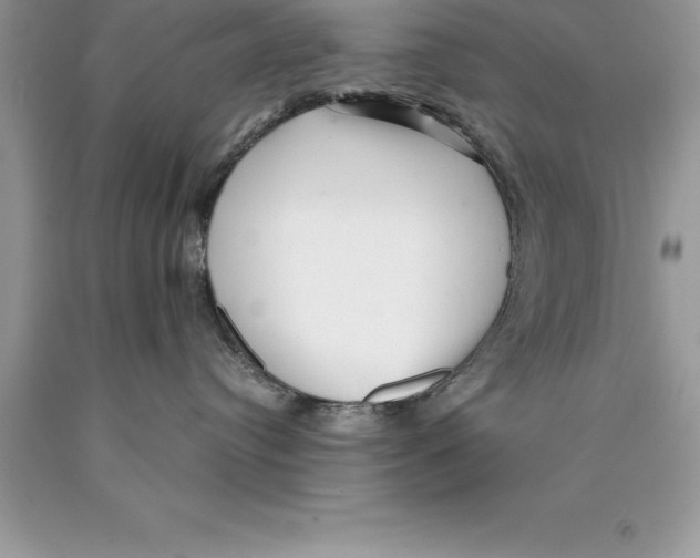 X0000089970384200707271926