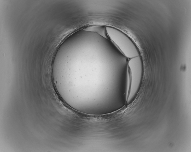 X0000089970385200707271926