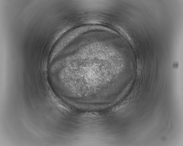 X0000089970386200707271926