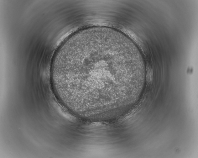 X0000089970390200707271926