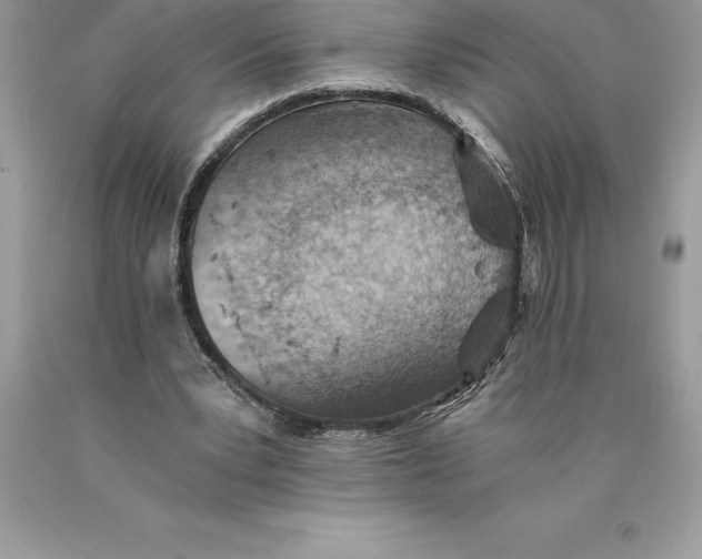 X0000089970391200707271926