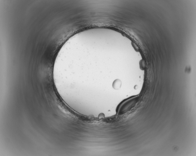 X0000089970393200707271926