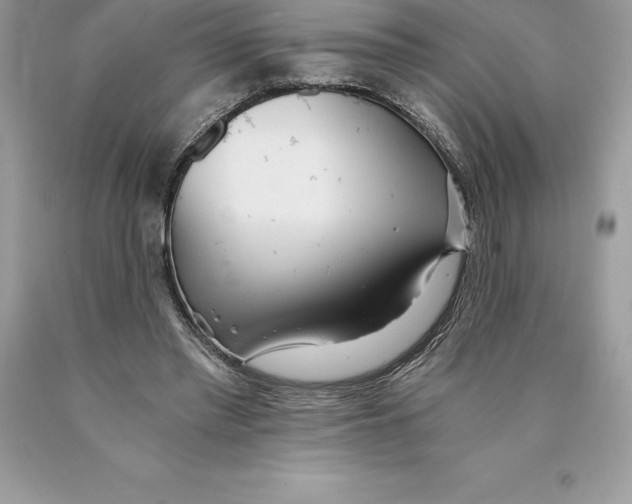 X0000089970397200707271925