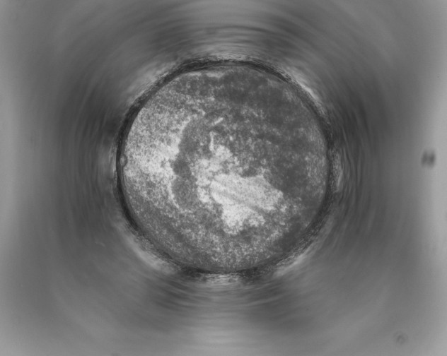 X0000089970398200707271925