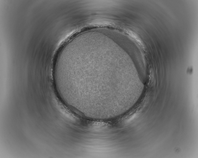 X0000089970399200707271925