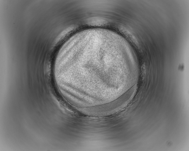 X0000089970400200707271925