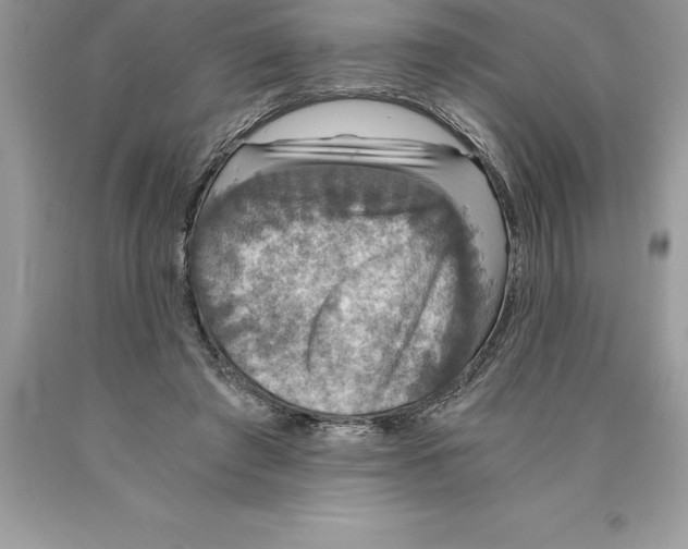 X0000089970401200707271925