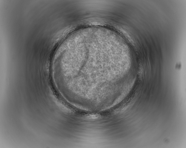 X0000089970402200707271925