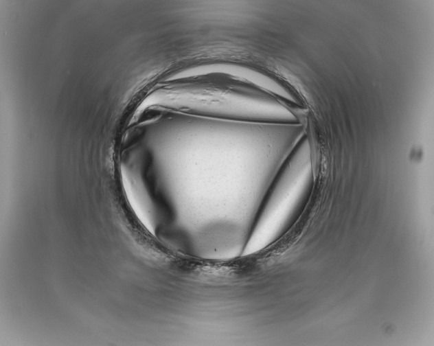 X0000089970403200707271925