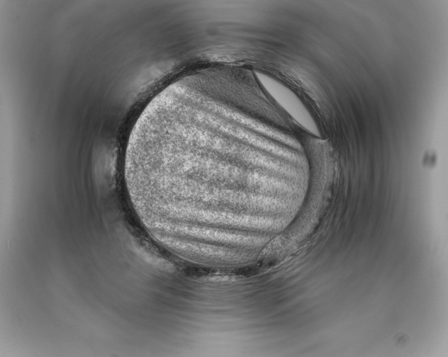 X0000089970404200707271925