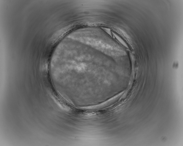 X0000089970405200707271925