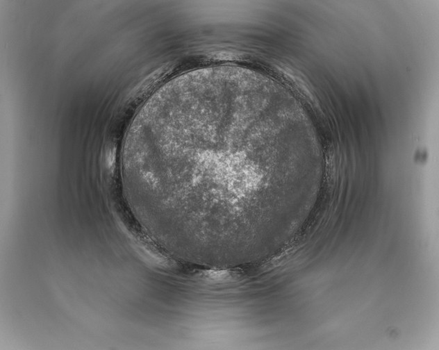 X0000089970406200707271925