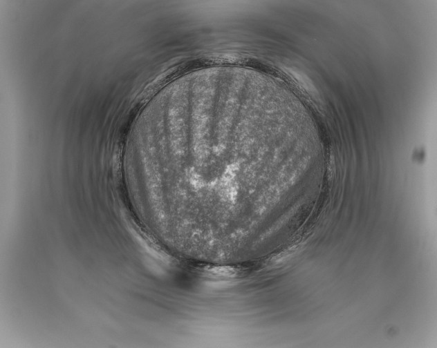 X0000089970409200707271925