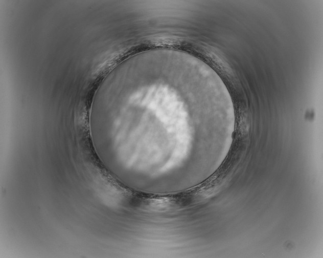 X0000089970411200707271925