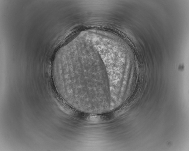 X0000089970413200707271925